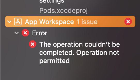 App Workspace: Error: The operation couldn't be completed. Operation not permitted.